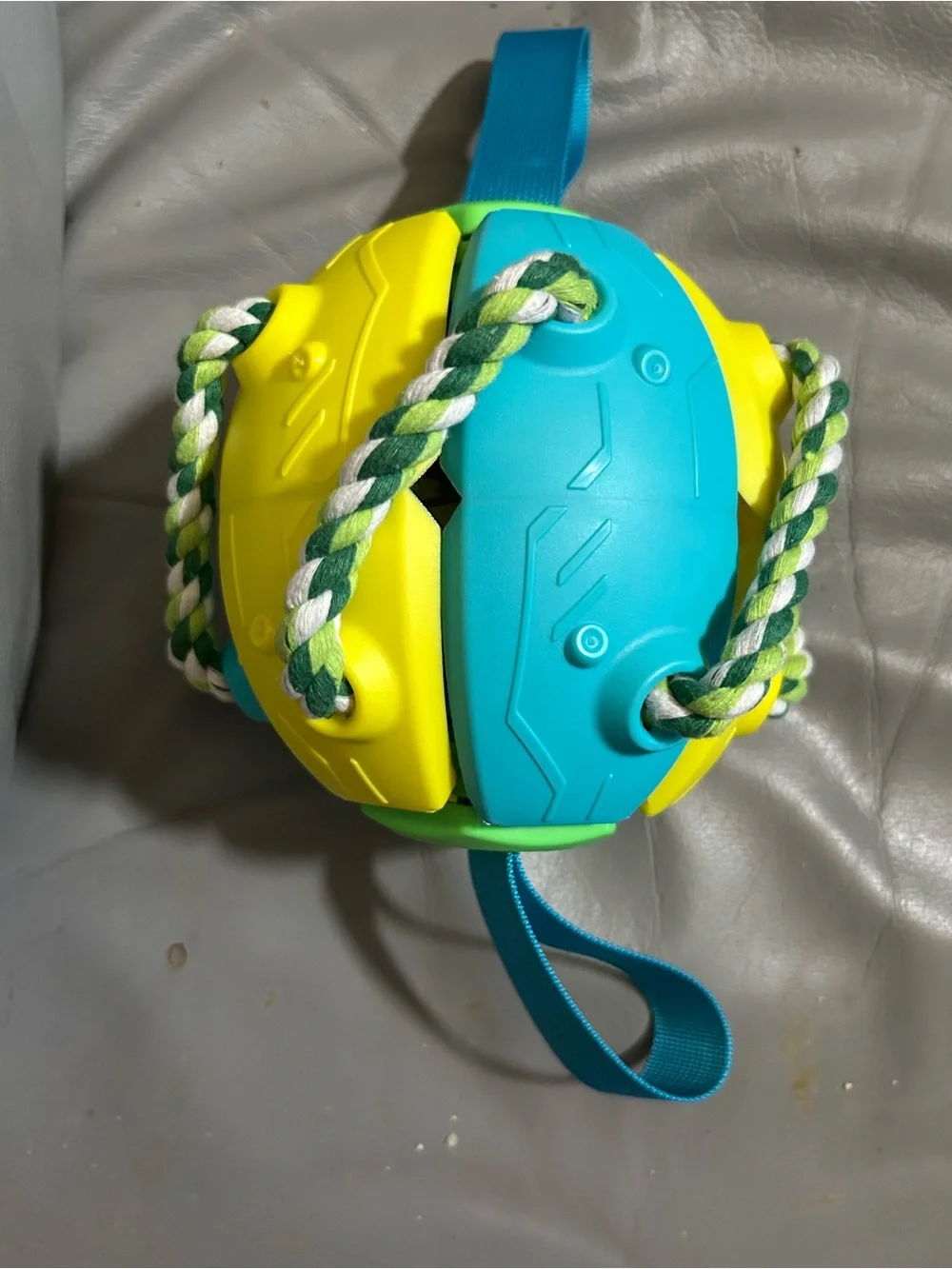 Dog Frisbee Toy